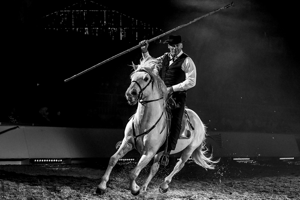 Cheval Passion 20220123-6292