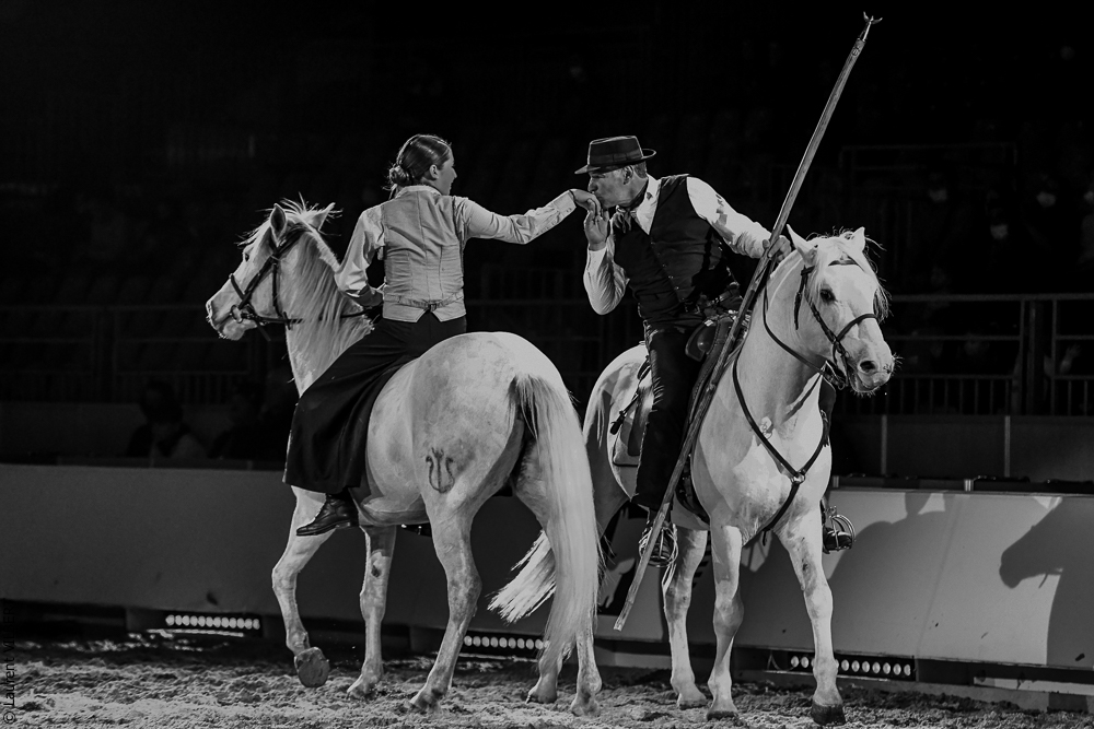 Cheval Passion 20220123-6340