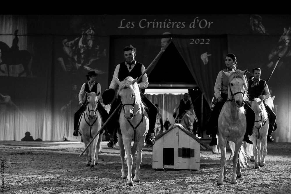 Cheval Passion 20220123-6382