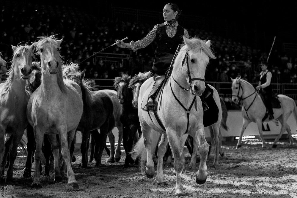 Cheval Passion 20220121-3651
