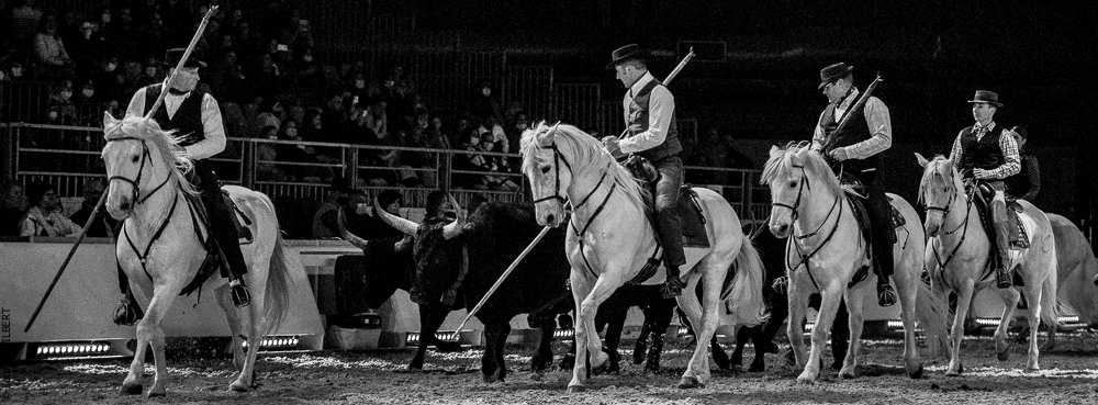 Cheval Passion 20220121-3657