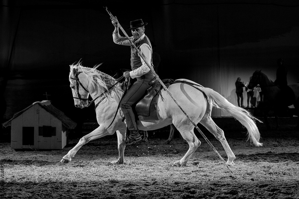 Cheval Passion 20220121-3707