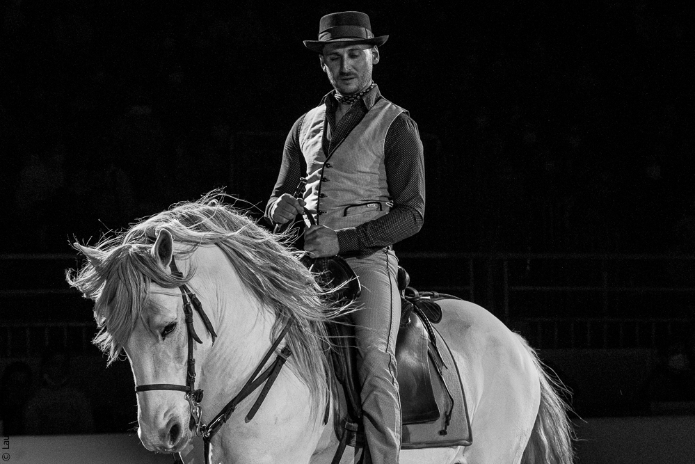 Cheval Passion 20220121-3732