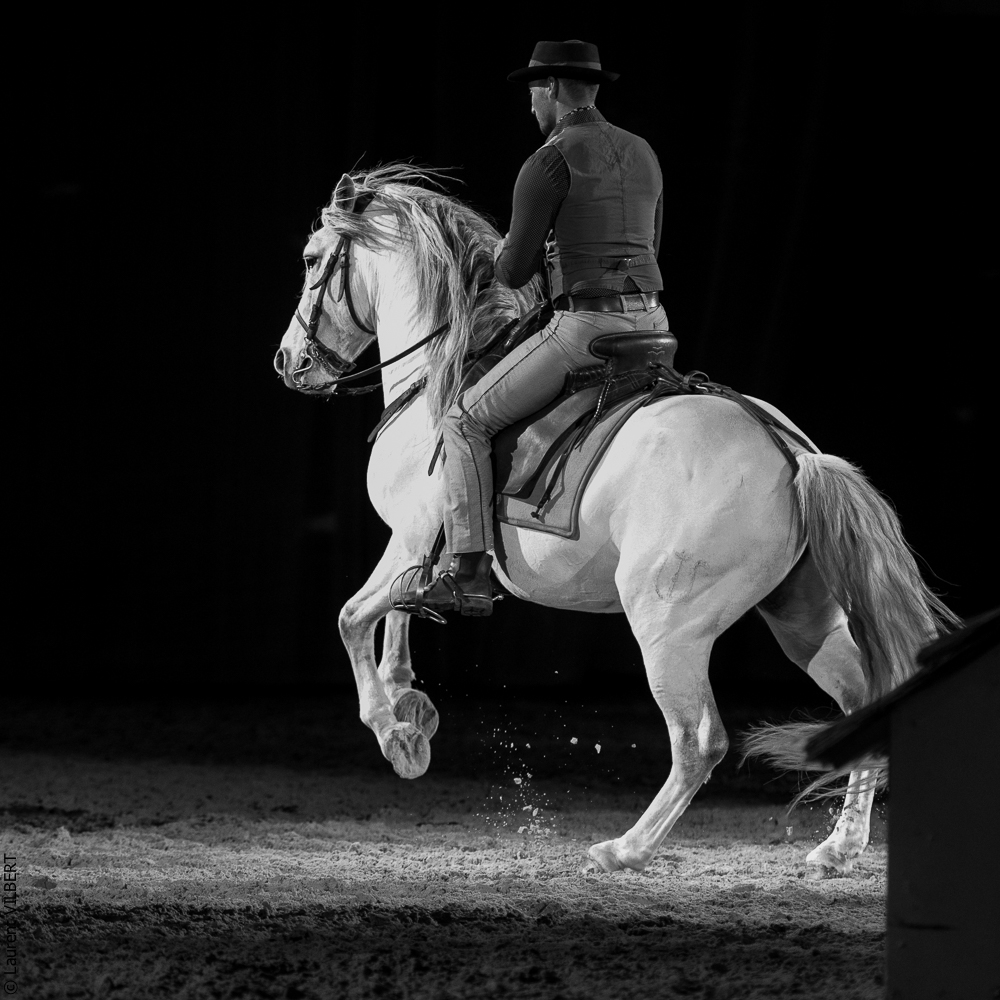Cheval Passion 20220121-3748