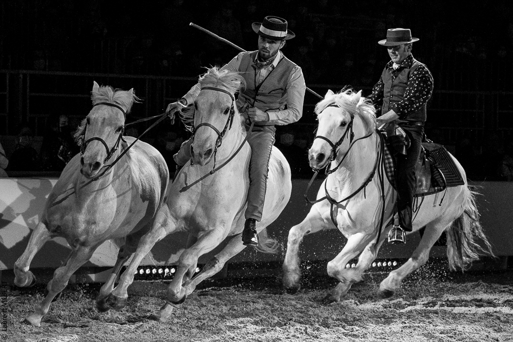 Cheval Passion 20220121-3784