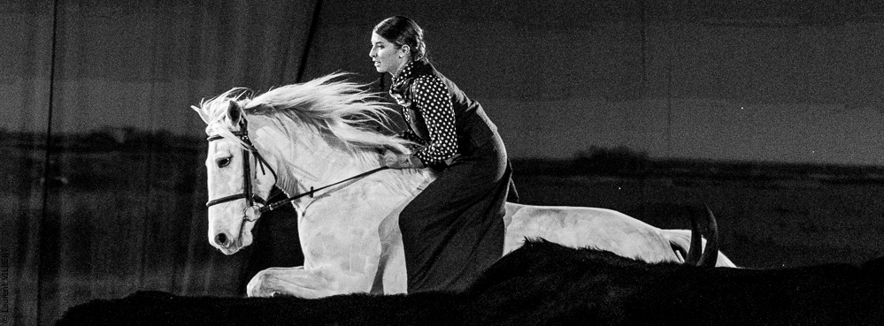 Cheval Passion 20220121-3825