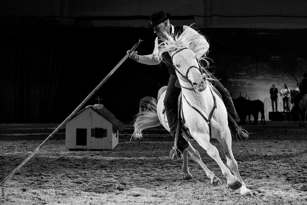 Cheval Passion 20220121-3840