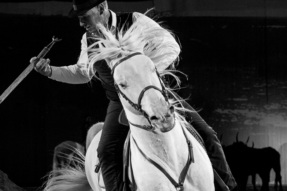 Cheval Passion 20220121-3840