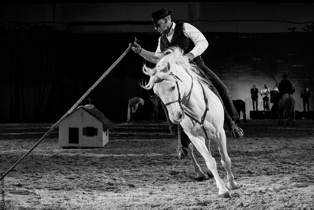 Cheval Passion 20220121-3841