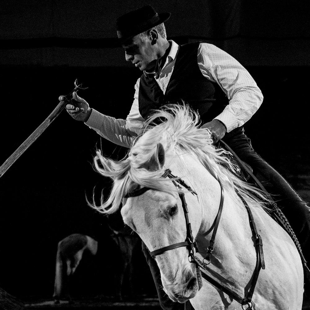 Cheval Passion 20220121-3841