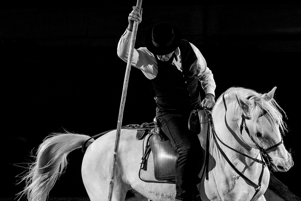 Cheval Passion 20220121-3847