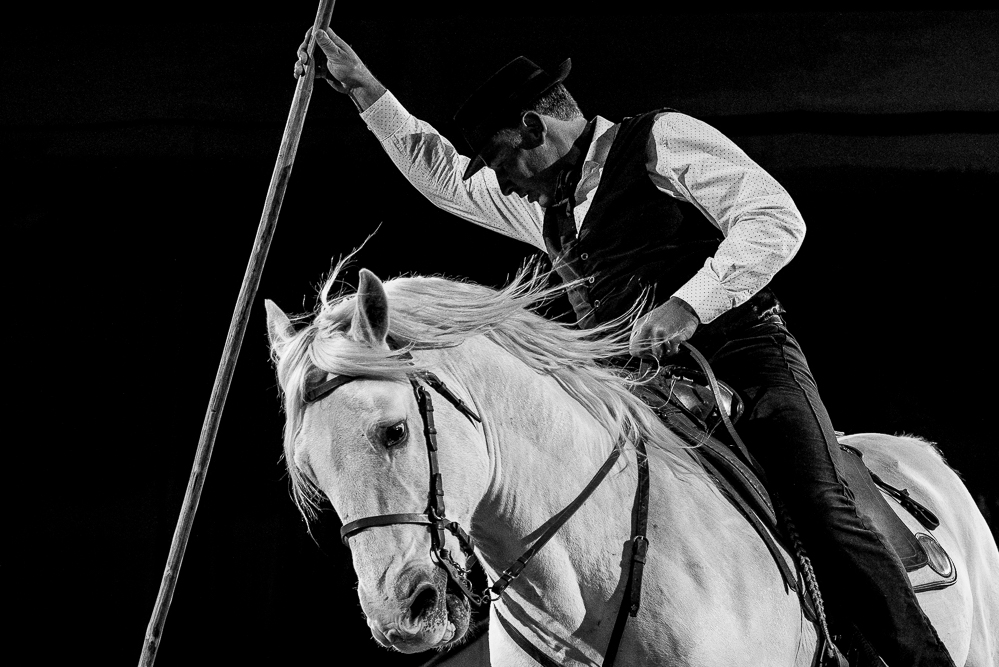 Cheval Passion 20220121-3849