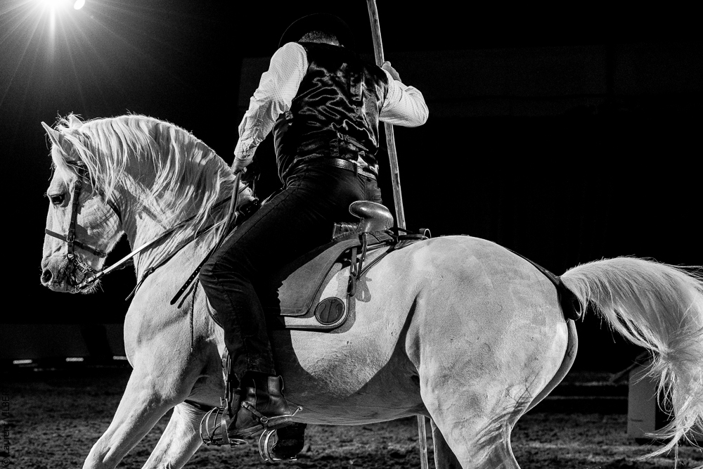 Cheval Passion 20220121-3851