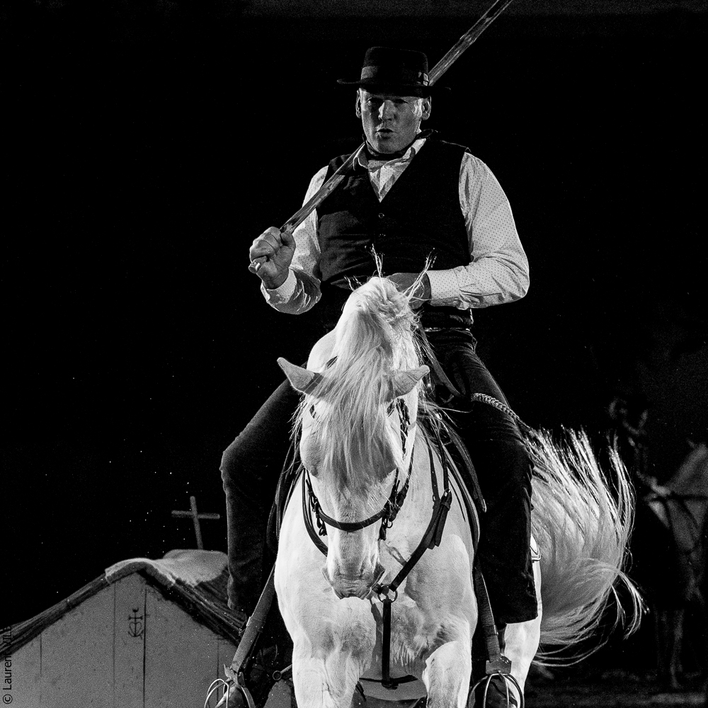 Cheval Passion 20220121-3855