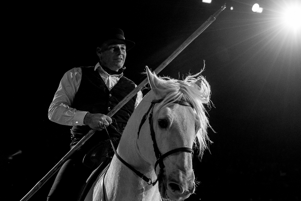 Cheval Passion 20220121-3864