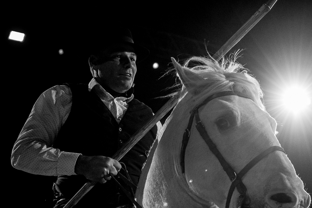 Cheval Passion 20220121-3865