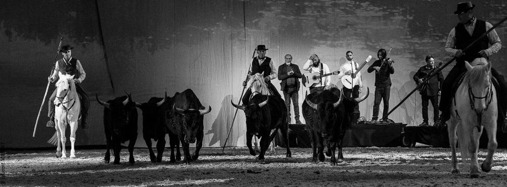 Cheval Passion 20220121-3870