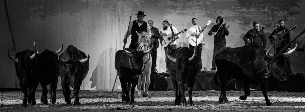 Cheval Passion 20220121-3872