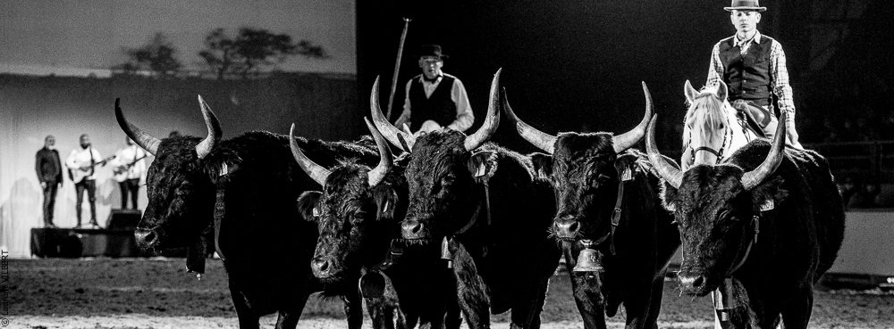 Cheval Passion 20220121-3887