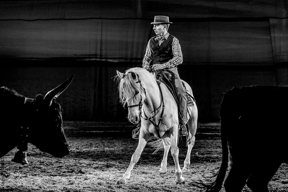 Cheval Passion 20220121-3908