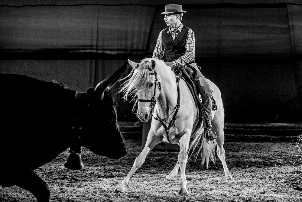 Cheval Passion 20220121-3909