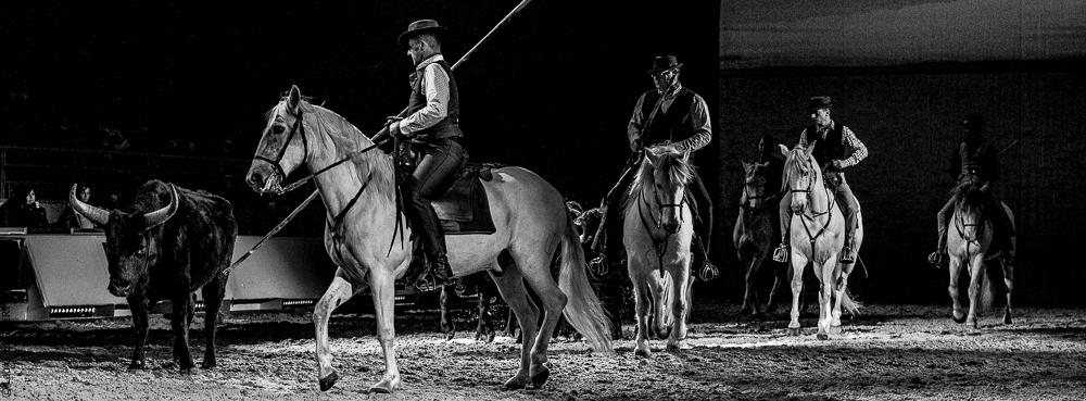 Cheval Passion 20220121-3922