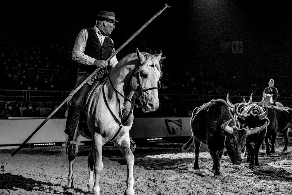 Cheval Passion 20220121-3924