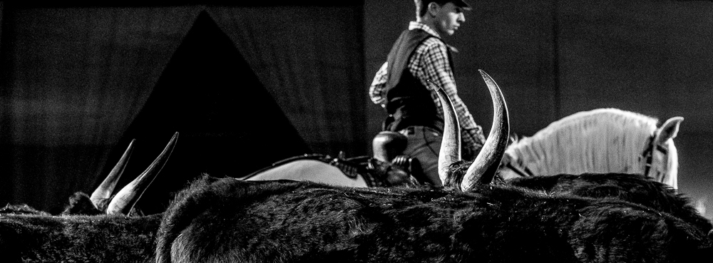 Cheval Passion 20220121-3930