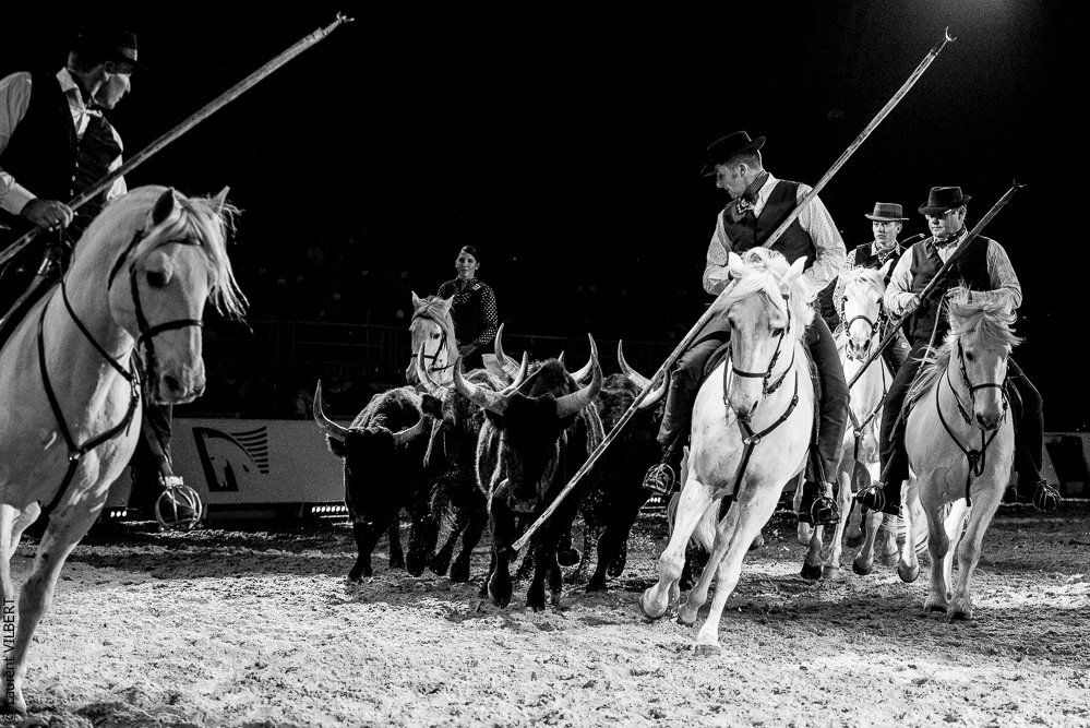 Cheval Passion 20220121-3939