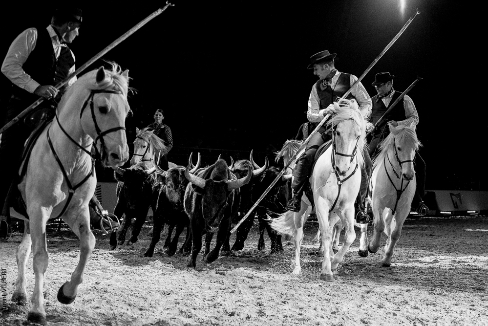 Cheval Passion 20220121-3940