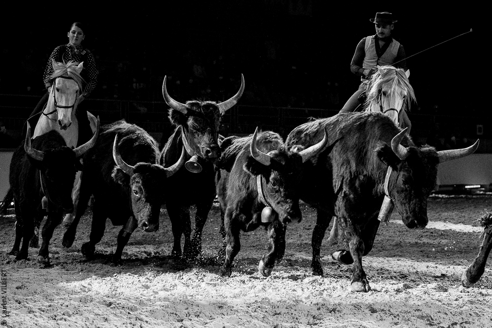 Cheval Passion 20220121-3953