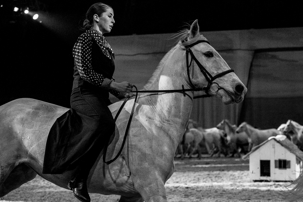 Cheval Passion 20220121-3968