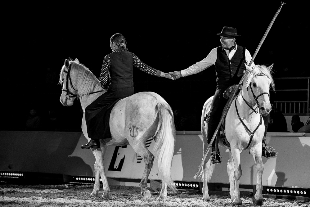 Cheval Passion 20220121-3984