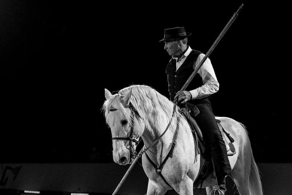 Cheval Passion 20220121-3989