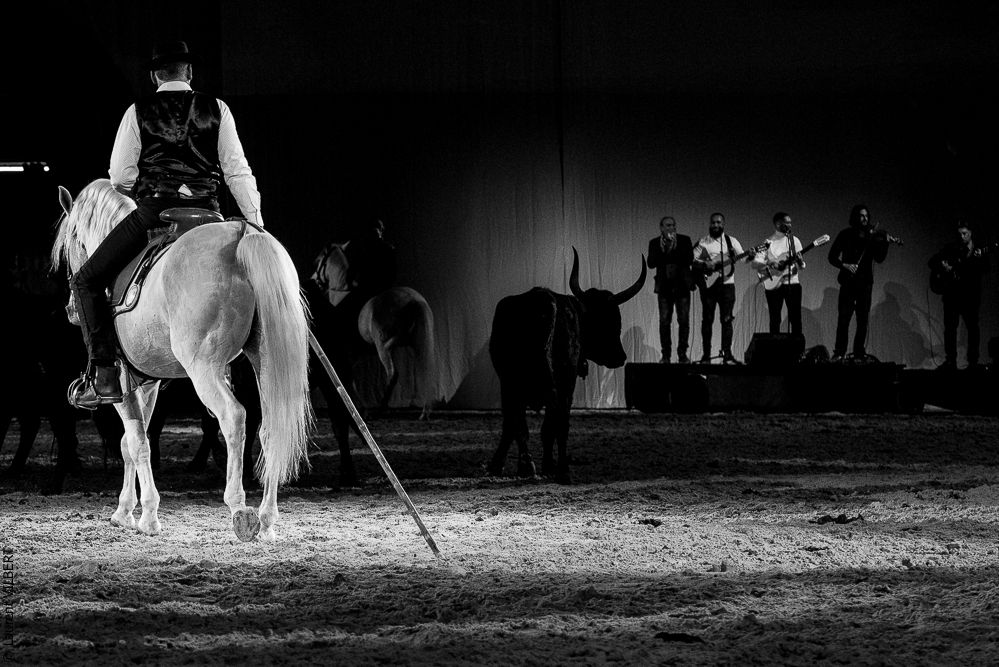 Cheval Passion 20220121-3991