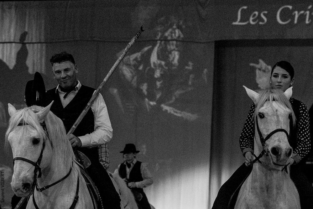 Cheval Passion 20220121-4073