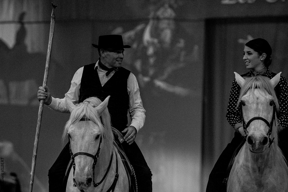 Cheval Passion 20220121-4079