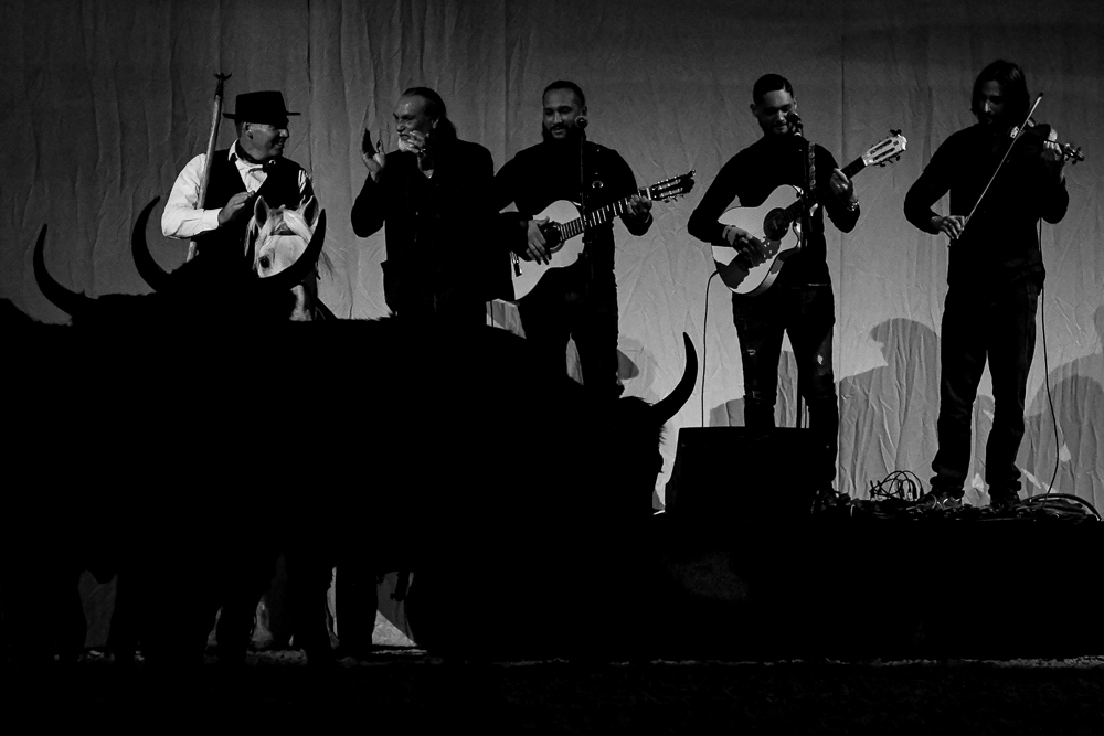 Cheval Passion 20220122-5427