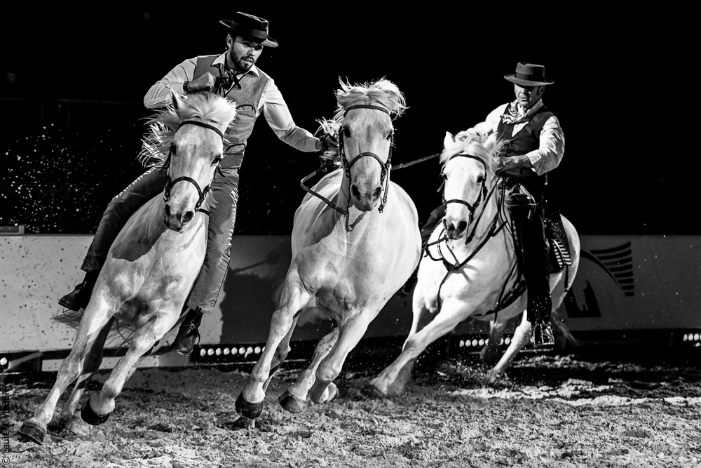 Cheval Passion 20220122-5452