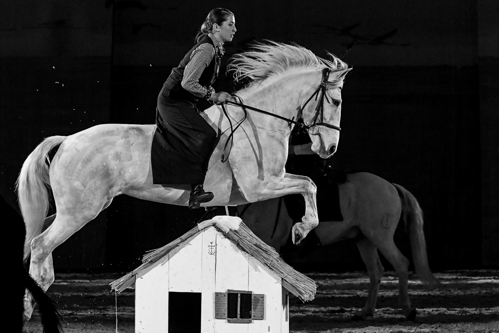 Cheval Passion 20220122-5459