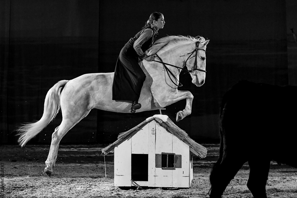 Cheval Passion 20220122-5464