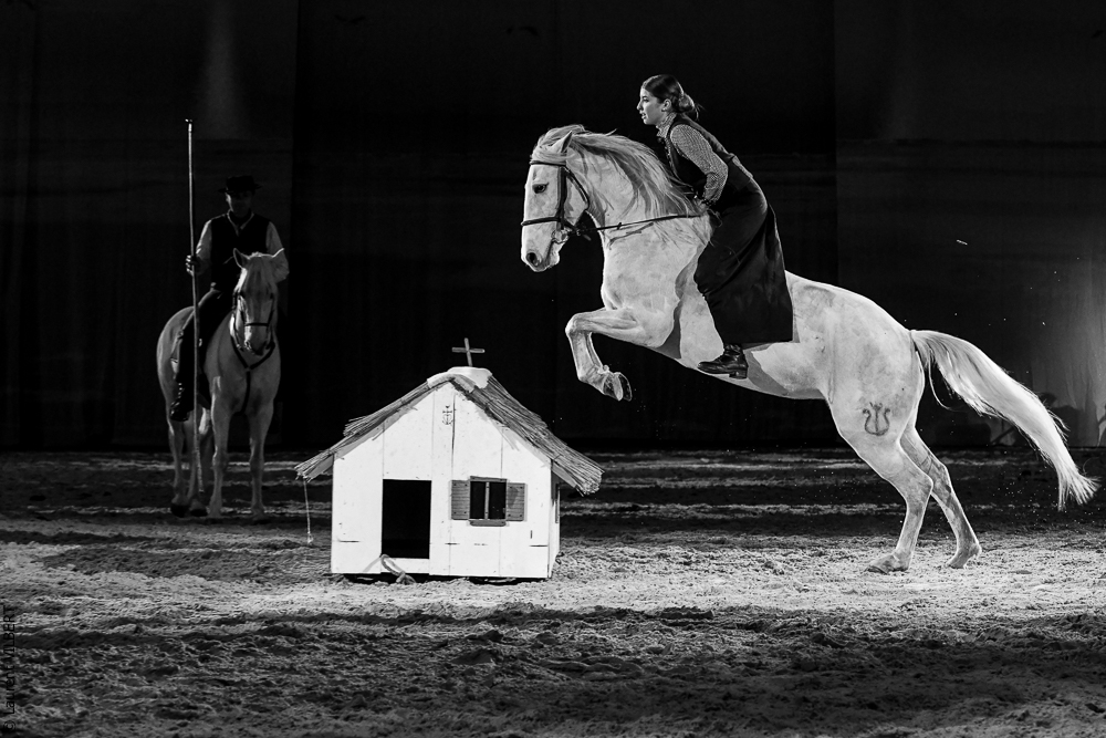 Cheval Passion 20220122-5468