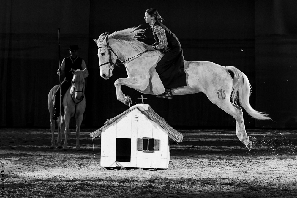 Cheval Passion 20220122-5469