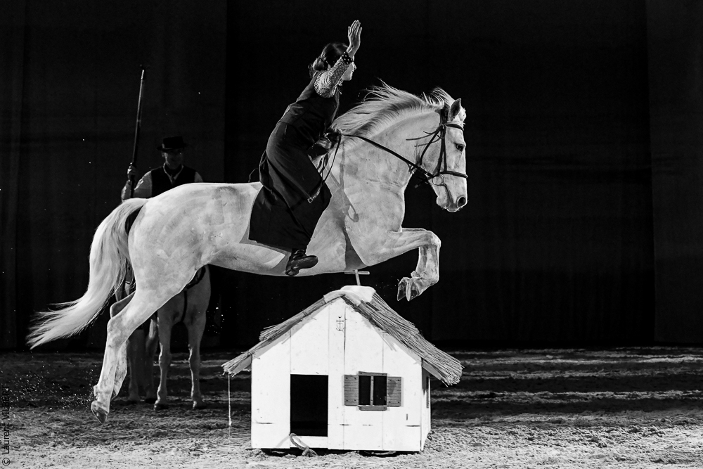 Cheval Passion 20220122-5474