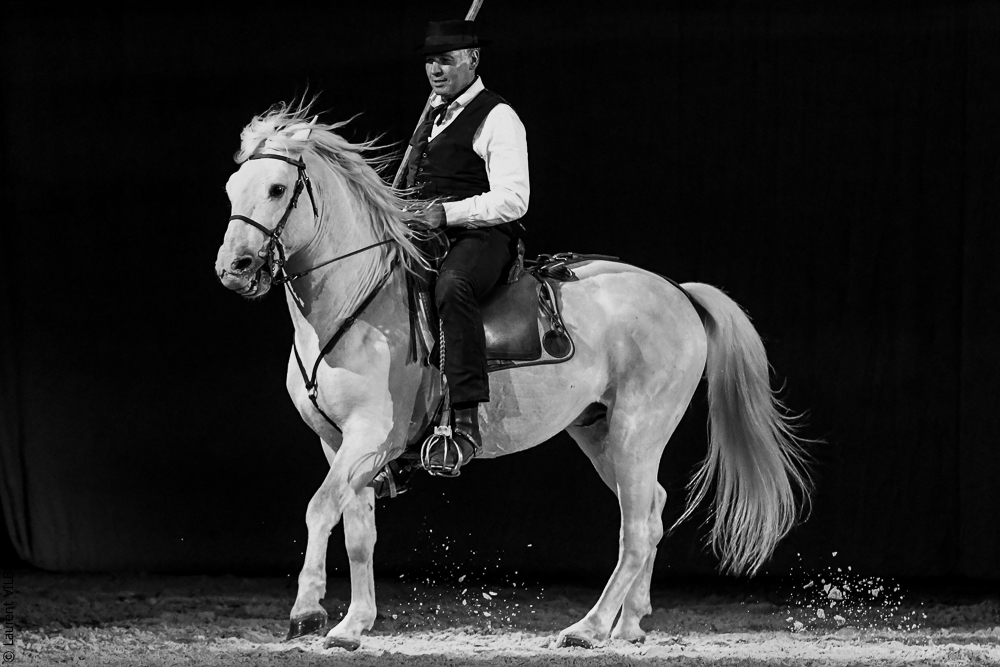 Cheval Passion 20220122-5478