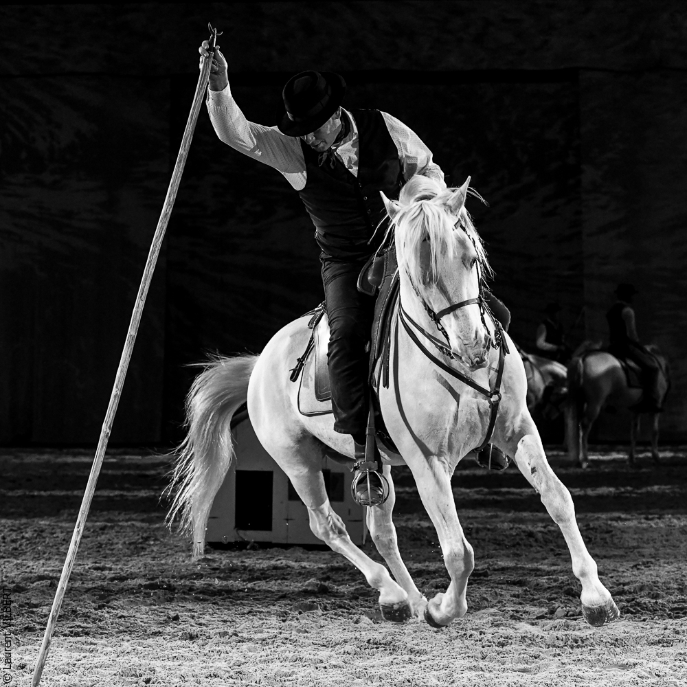 Cheval Passion 20220122-5497