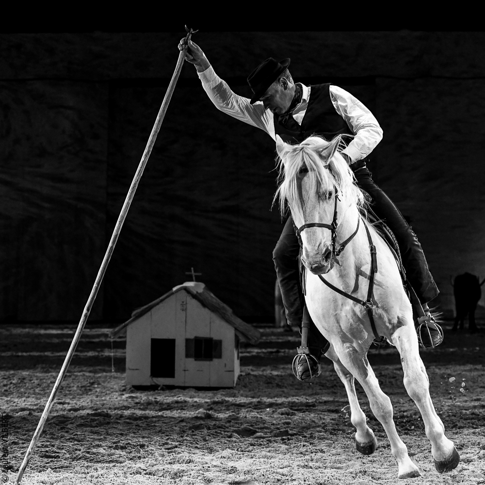 Cheval Passion 20220122-5498