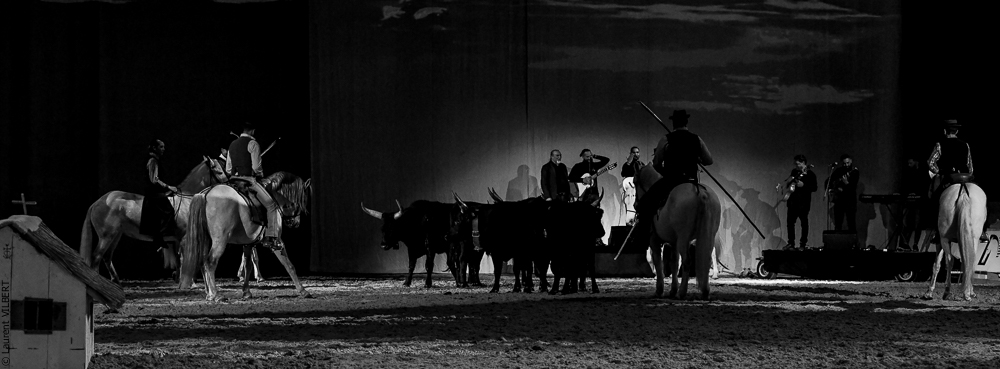 Cheval Passion 20220122-5526