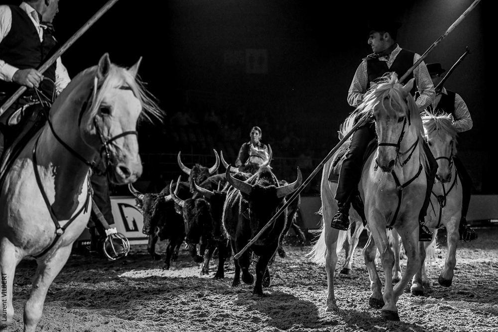 Cheval Passion 20220122-5557