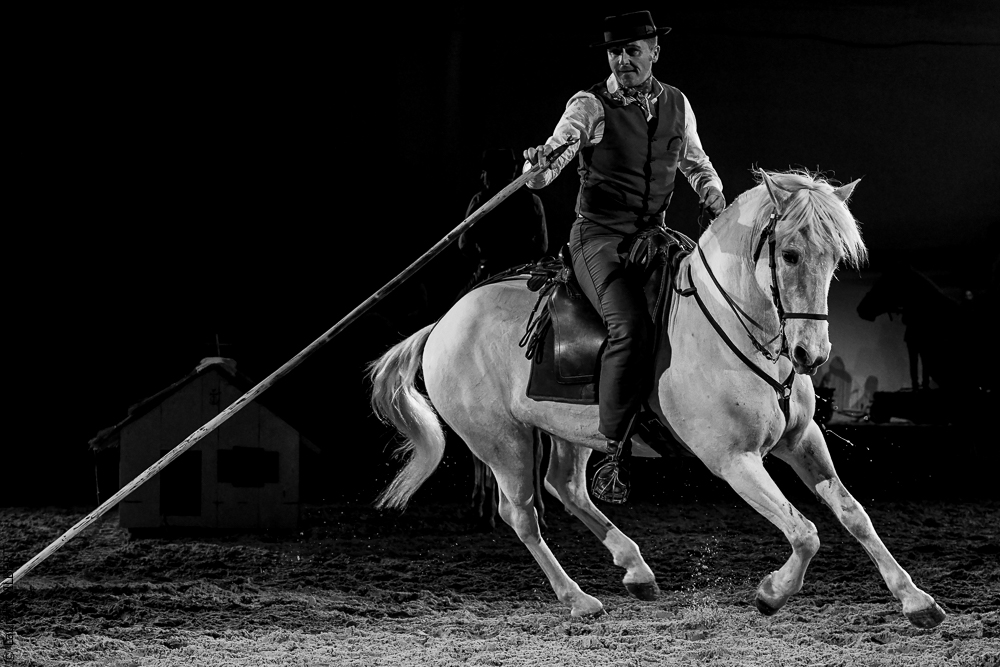 Cheval Passion 20220123-6173